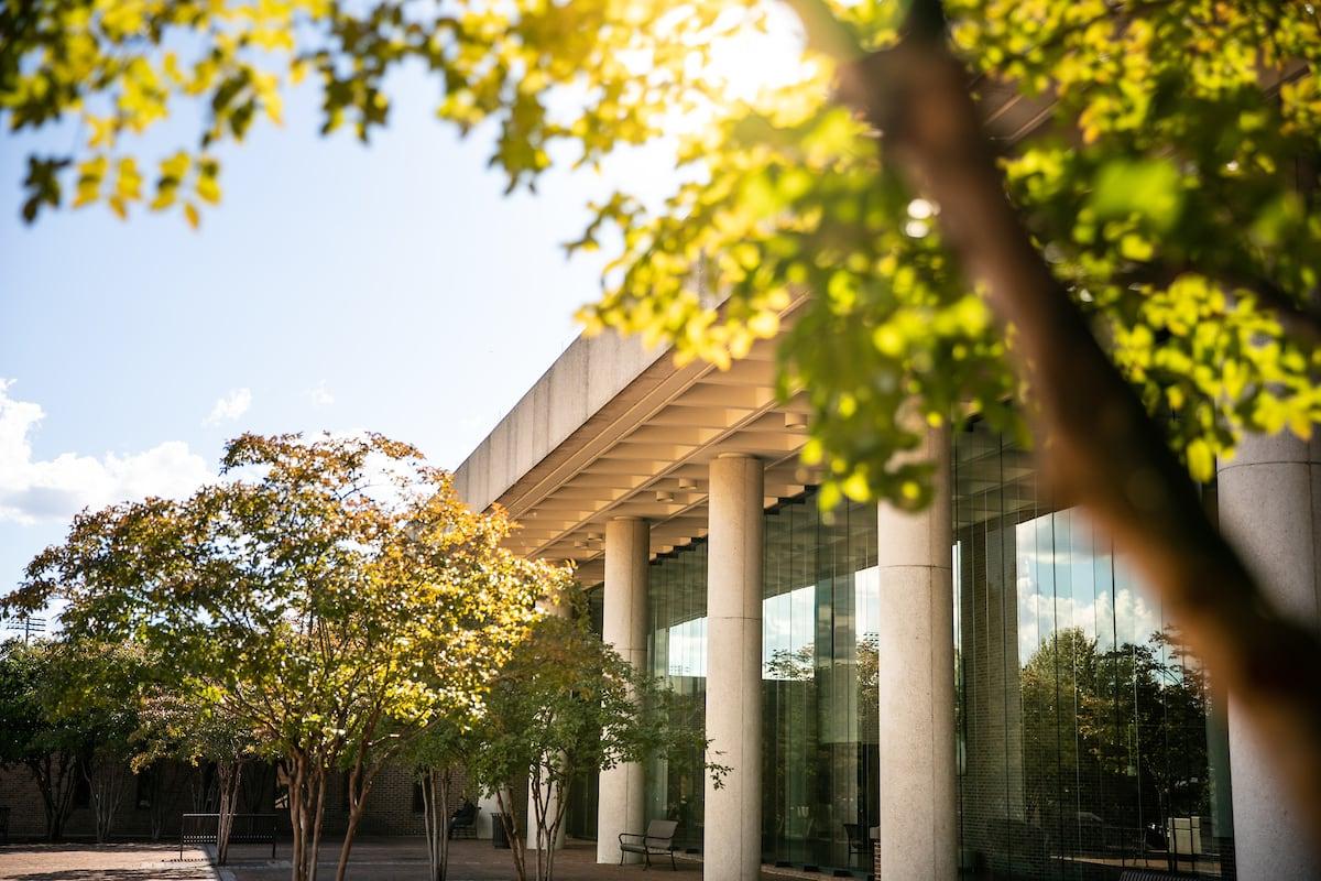 Trees adorning the exterior grounds of the School of Law